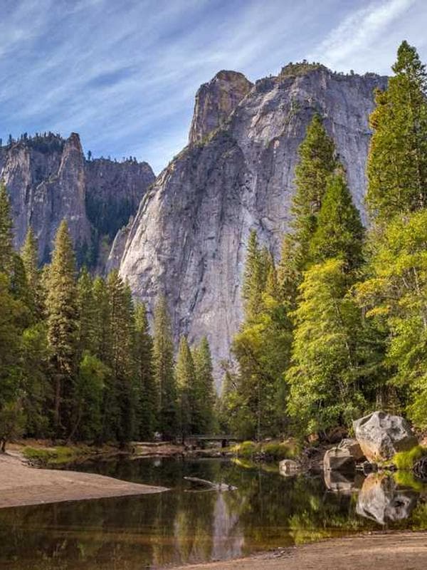 Priya Patel's photo 2